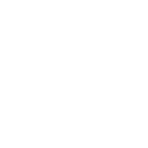Skyward Logo